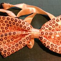 Papillon farfallino