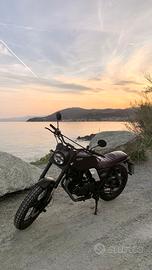 Brixton Felsberg 250