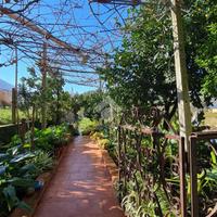 CASA INDIPENDENTE A SANT'AGATA DE' GOTI