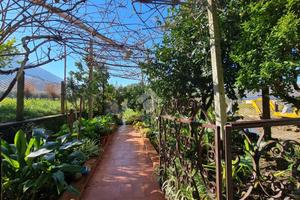 CASA INDIPENDENTE A SANT'AGATA DE' GOTI