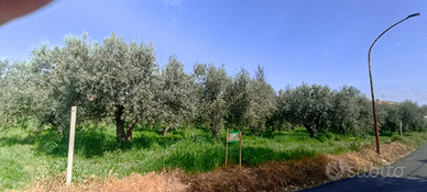 Terreno edificabile b1