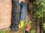 Immagine 2