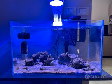 Acquario 50 litri