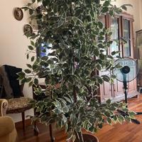 Pianta finta 1,80
