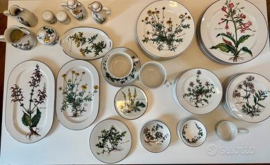 Villeroy & Boch Botanica servizio piatti completo