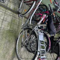 bicicletta donna