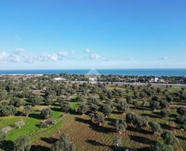 TER. AGRICOLO A POLIGNANO A MARE