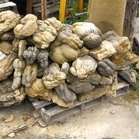  roccia marina
