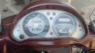 Beverly 500
