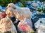 Immagine 2