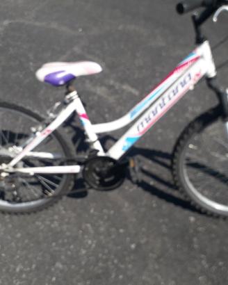 City bike Montana ruote da 26"