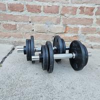 Manubri bodybuilding 10 kg 