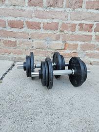 Manubri bodybuilding 10 kg 