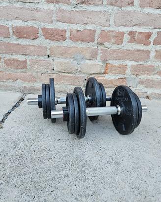 Manubri bodybuilding 10 kg 