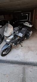 Suzuky V - Strom 650 03 - 2015