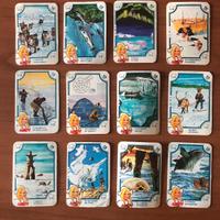 Mira Lanza figurine - Lotto Grande Nord 1980-1991