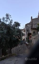 Abitazione semindipendente abitabile