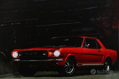 Quadro Fotografico Retroilluminato