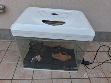 acquario + accessori 45lt.  billy45