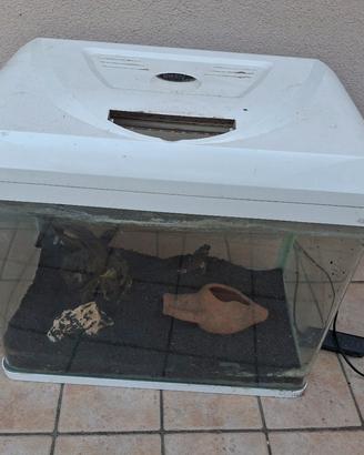 acquario + accessori 45lt.  billy45