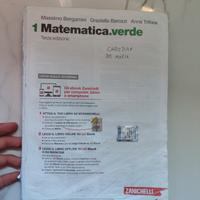 matematica verde 1