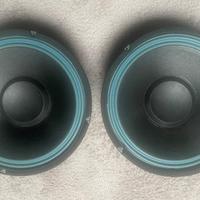 WOOFER HI-FI W.E.B. 25 CM 10 POLLICI COPPIA