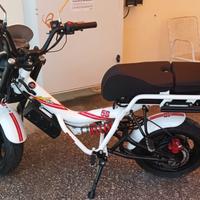 Garelli Ciclone sic 50 - 2023
