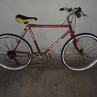 Montanbike ruota 26