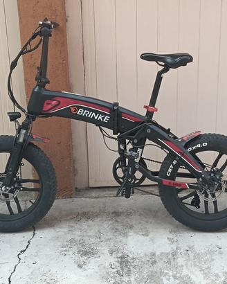 Bici elettrica