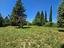 Immagine 29