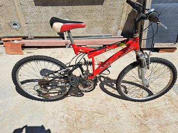 Mtb 24