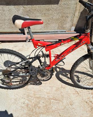 Mtb 24