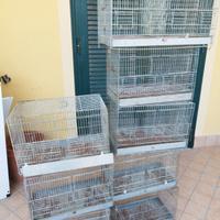 Gabbie per canarini.