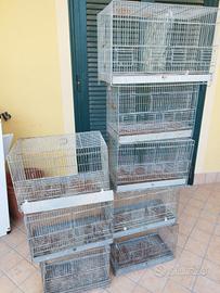 Gabbie per canarini.