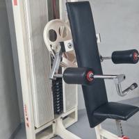deltoid machine 