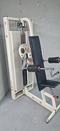 deltoid machine 