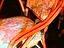 Immagine 3
