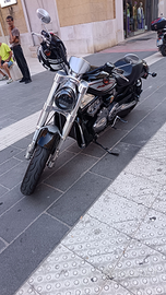 Moto harley davidson street rod 1130