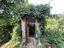 Immagine 17
