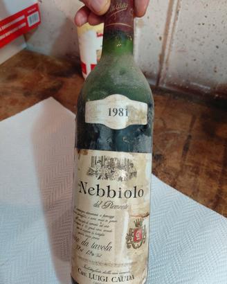 vino bottiglie 