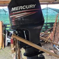 Motore Fuoribordo Mercury 115 four stroke