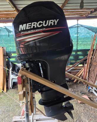 Motore Fuoribordo Mercury 115 four stroke
