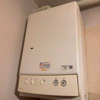 Caldaia Immergas Zeus 21 Maior
