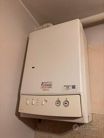 Caldaia Immergas Zeus 21 Maior