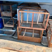10 gabbie da gara per uccelli