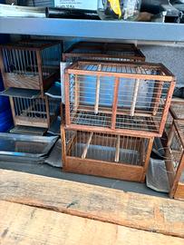 10 gabbie da gara per uccelli