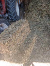 Balline di fieno secondo taglio