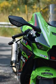 Kawasaki zx10r ninja