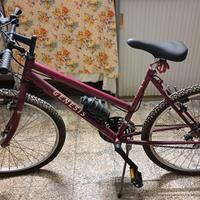 Bicicletta Genesis 