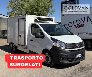 FIAT TALENTO FRIGO SURGELATI ATP FRCX
